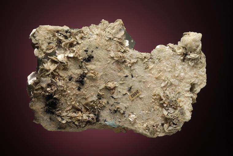 BERYL var. Aquamarine on ALBITE var. Pericline